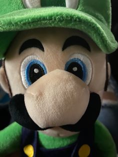 a close up of a stuffed animal wearing a green hat