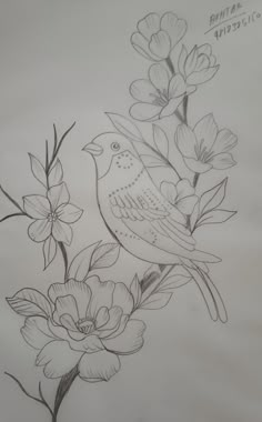 a pencil drawing of a bird on a branch with flowers