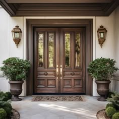 two large potted plants are on the front steps of a house with double doors