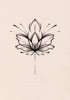 a drawing of a lotus flower on paper