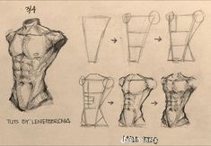 Man Torso Drawing Tutorial, Anatomy Learning Drawing, How To Study Anatomy Drawing, How To Draw Male Torso, Draw Male Torso, Learning How To Draw, How To Draw A Man, Male Anatomy Sketch