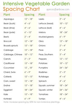 an info sheet for the intensive vegetable garden spacing chart, with instructions to help you learn how to use it