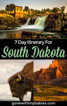 an image of a waterfall and bison with text overlay that reads 7 day itinery for south dakota