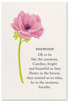 a pink flower with the words,'someone oh to be like the anemone carefree bright and beautiful as they flatter in the breeze, they remind us to relax,