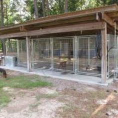 a dog is standing in front of a shelter