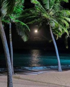 two palm trees on the beach at night with a full moon in the sky above them