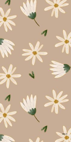 white daisies with green leaves on a beige background