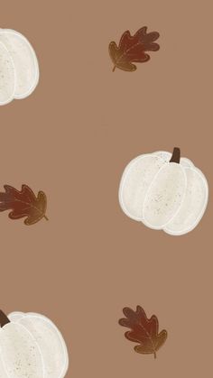 a pattern with white pumpkins and leaves on a brown background