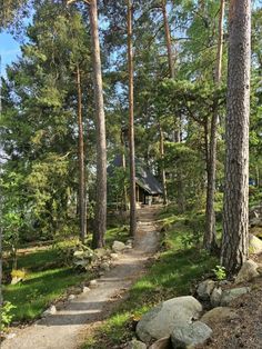 a path in the woods leading to a cabin