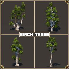 four different types of trees with the words birch trees