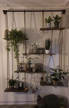 a shelf with plants and other things on it