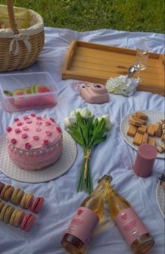 Galentines picnic Valentines Picnic, Bday Picnic, Picnic Photo Shoot, Pink Picnic, Picnic Cake, Picnic Photography, Cute Birthday Pictures