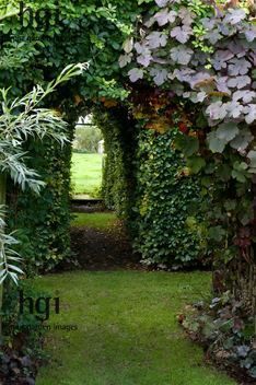 an archway covered in lush green plants next to a park area with grass and trees