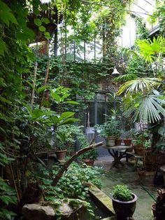 an indoor garden with lots of plants and trees