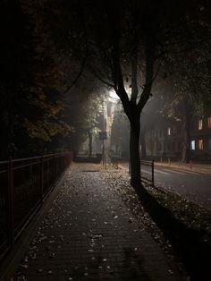 fall autumn night ночь листья осень эстетика дерево одиночество lonely tree lamp aesthetic Dark Forest Aesthetic, Rainy City, Dark Fairytale, Winter City, Scenery Photography, Dark Autumn, Dark Nature Aesthetic, Rainy Night