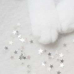 a white cat laying on top of a bed covered in silver stars