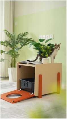 a cat standing on top of a wooden box next to a plant in a pot