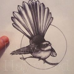 a drawing of a bird with feathers on it's wings