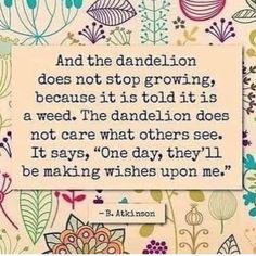 a quote that says, and the dandelion does not stop growing because it is told