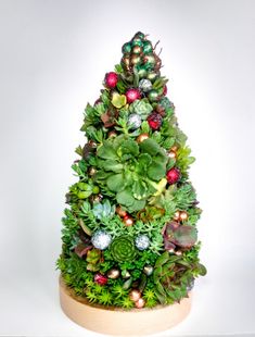 a small christmas tree made out of succulents and other greenery on a white background