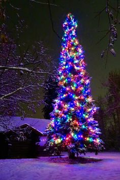 a brightly lit christmas tree in the snow