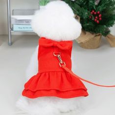 a small white dog wearing a red dress with a leash on it's neck