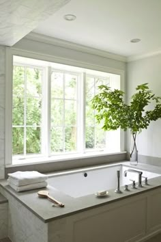 a large white bathtub sitting under a window next to a plant in a vase