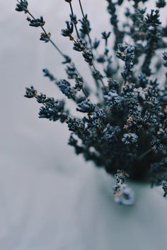 a vase filled with lots of purple flowers on top of a white tablecloth covered floor