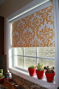 a kitchen window that has some plants in it