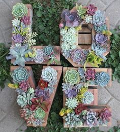 the letter love made out of succulents is displayed on an instagram page