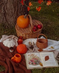 an open book sitting on top of a blanket next to a basket filled with fruit