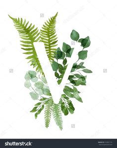 the letter v made up of green leaves and ferns on a white background stock photo