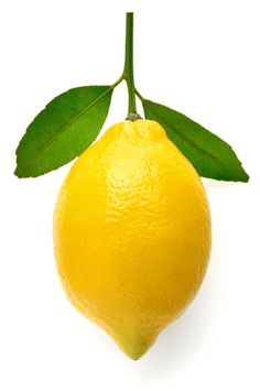 Lemon Reference Photo, Lemon Reference, Lemon Image, Lemon Cake Recipes, Freeze Lemons, Lemon Photo, Lemon Drinks, Fruits And Vegetables Images, Lemon Png