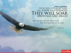 an eagle soaring through the sky with a bible verse below it that reads, those who hope in the lord will rewr their strength they will soar on wings like eagles