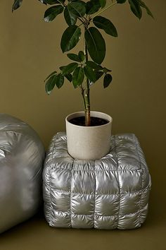 a potted plant sitting on top of a silver pillow next to a small tree