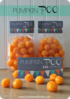 an instagram page for pumpkin poo