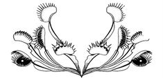 an image of flowers that are drawn in black and white on a white background, vintage line drawing or engraving illustration