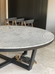 a small dog laying under a table with chairs in the background