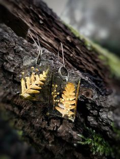 Beautiful Earrings made of genuine dry fern leaves and tiny forest flowers in a clear resin. Inspired by nature, fairytales, and forest. Magical and elegant earrings for nature lovers, bohemian and unique people. A perfect and unusual gift. Forest Magical, Unique People, Fern Leaves, Earrings Resin, Unusual Gift, Forest Flowers, Earrings Bohemian, Bohemian Earrings, Clear Resin