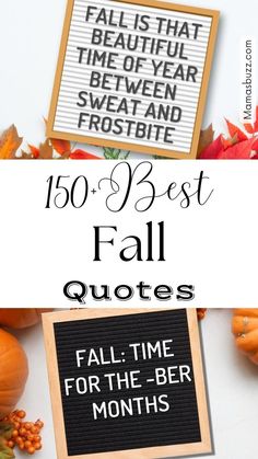 fall letter board Ber Months Quotes, September Quotes Autumn, Fall Letter Board, Funny Fall Quotes, September Quotes, Fall Sayings, Letter Board Quotes, October Quotes