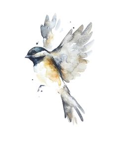 a watercolor painting of a bird flying