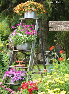 a garden filled with lots of flowers next to a wooden sign