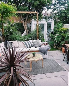 an outdoor living area with lots of plants and furniture