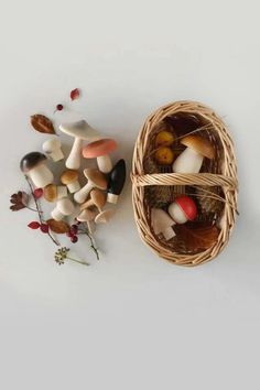 a basket filled with lots of mushrooms next to a bunch of leaves and flowers on top of a white surface