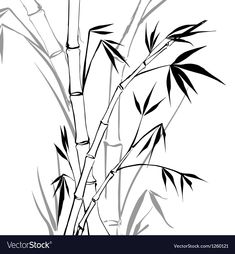 black and white drawing of bamboo leaves