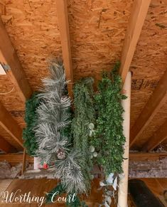 some green plants are hanging from the ceiling