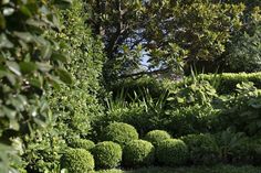 Interesting, textural low- and mid-level plantings bring layers of softness to this Sydney garden. Planting Design, Landscape Services, Garden Photography, Plant Design, Landscape Architect, Backyard Garden