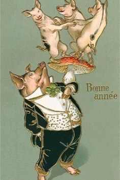 an image of a cartoon pig with four pigs on it's back and the caption, bone annie