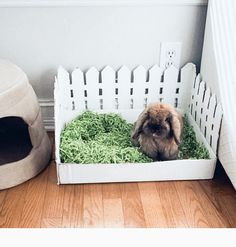 a rabbit sitting in a crate filled with green grass next to a white cat house