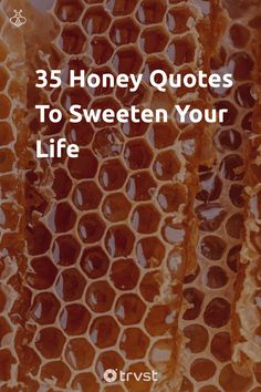 honeycombs with text that reads, 35 honey quotes to sweeten your life